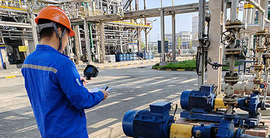 1734925418398177.jpg 17086693223949384.jpg